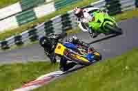 cadwell-no-limits-trackday;cadwell-park;cadwell-park-photographs;cadwell-trackday-photographs;enduro-digital-images;event-digital-images;eventdigitalimages;no-limits-trackdays;peter-wileman-photography;racing-digital-images;trackday-digital-images;trackday-photos